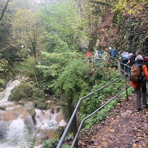 48_03_Aufstieg durch die romantische Twannbach-Schlucht