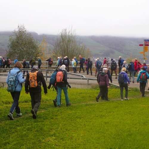 52_02 Den Wegweisern folgend durchs Schwerzbachried