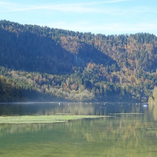 51_Jura02_Am-Lac-de-Biaufond-im-Tal-des-Doubs 001