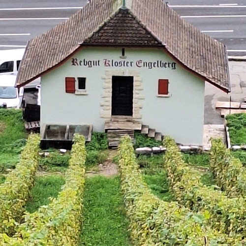 48_01_Engelberg am Bielersee lässt grüssen