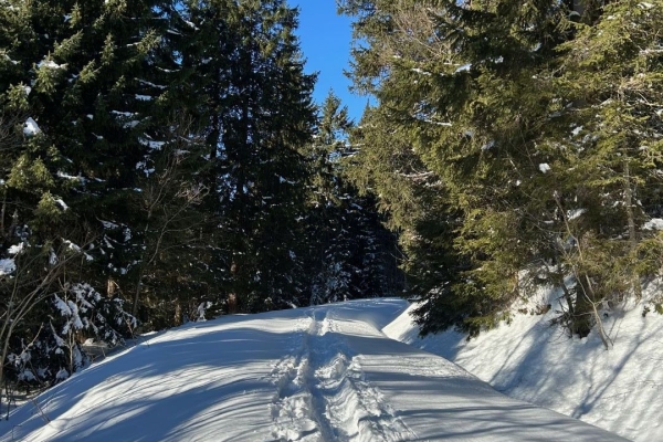 Schneeschuhwanderung zum Sattelpass